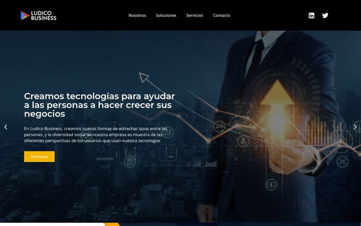 Posnetek zaslona ludicoservices.com