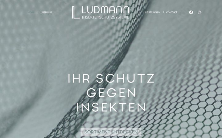 Screenshot of ludmann-insektenschutzsysteme.de