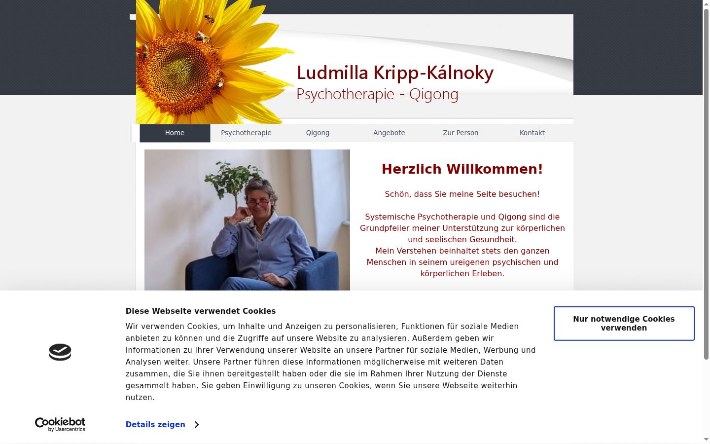Snímek obrazovky baneru souhlasu zobrazeného před jakoukoli interakcí