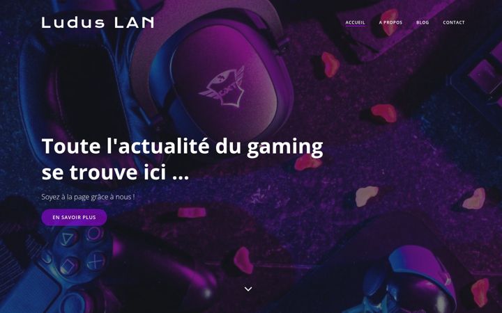 Screenshot of ludus-lan.com