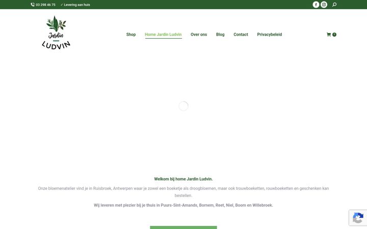 Screenshot of ludvin.be