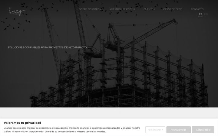 Screenshot of luegingenieros.com