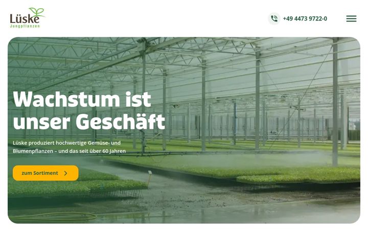 Screenshot of lueske.de