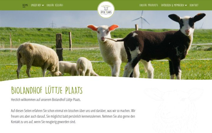 Screenshot of luettje-plaats.de