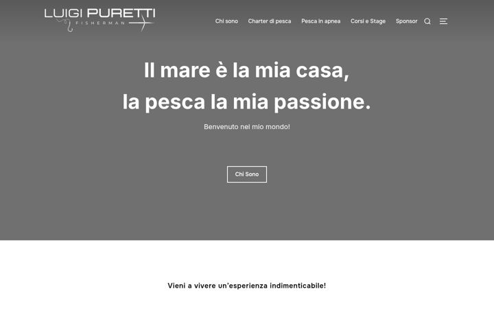 Screenshot of luigipuretti.it