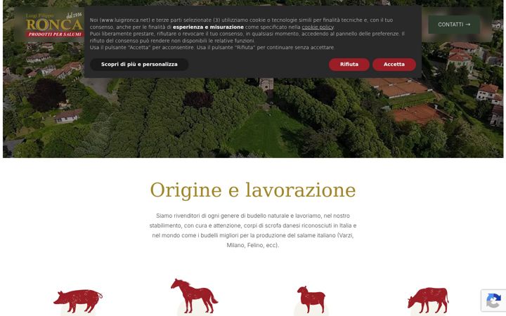 Screenshot of luigironca.net