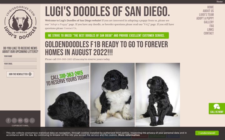 Screenshot of luigisdoodles.com