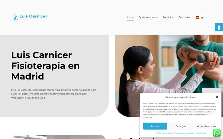 Screenshot of luiscarnicerfisioterapia.com