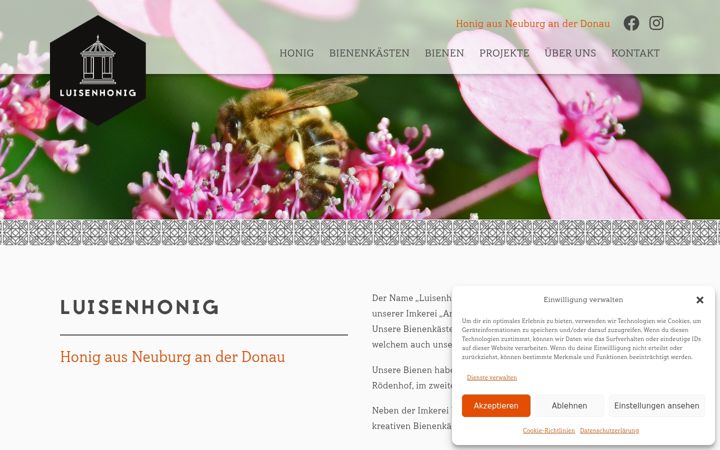 Screenshot of luisenhonig.com