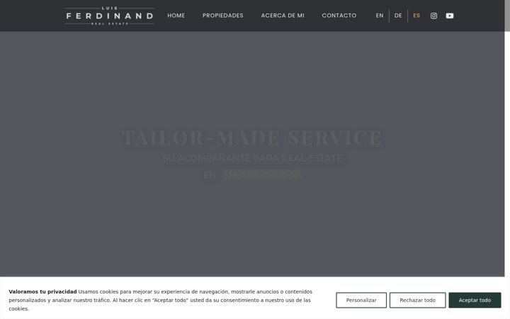 Screenshot of luisferdinand.com