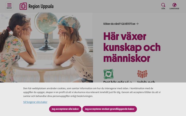 Screenshot of lul.se