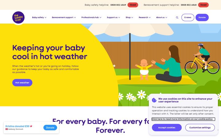 Screenshot of lullabytrust.org.uk