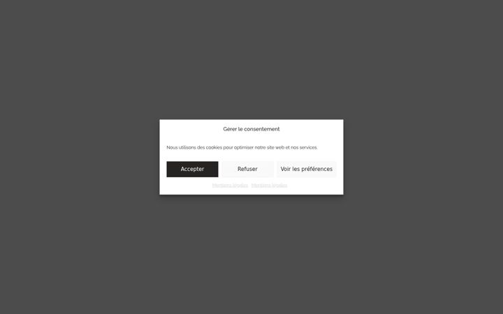 Screenshot of lumidesigncorse.com