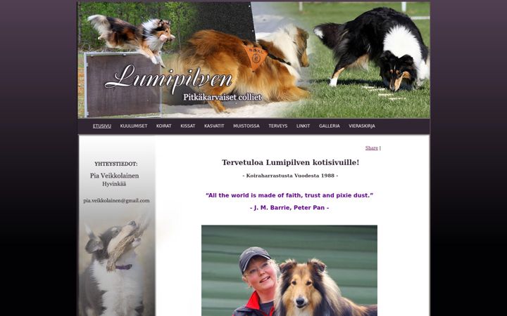 Screenshot of lumipilven.net