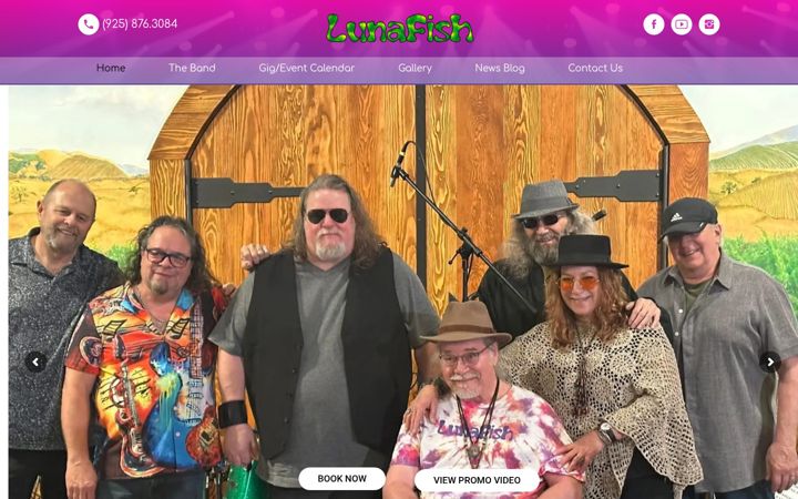 Screenshot of lunafishband.com