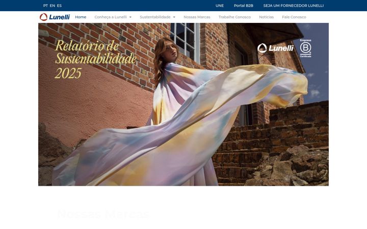 Screenshot of lunelli.com.br
