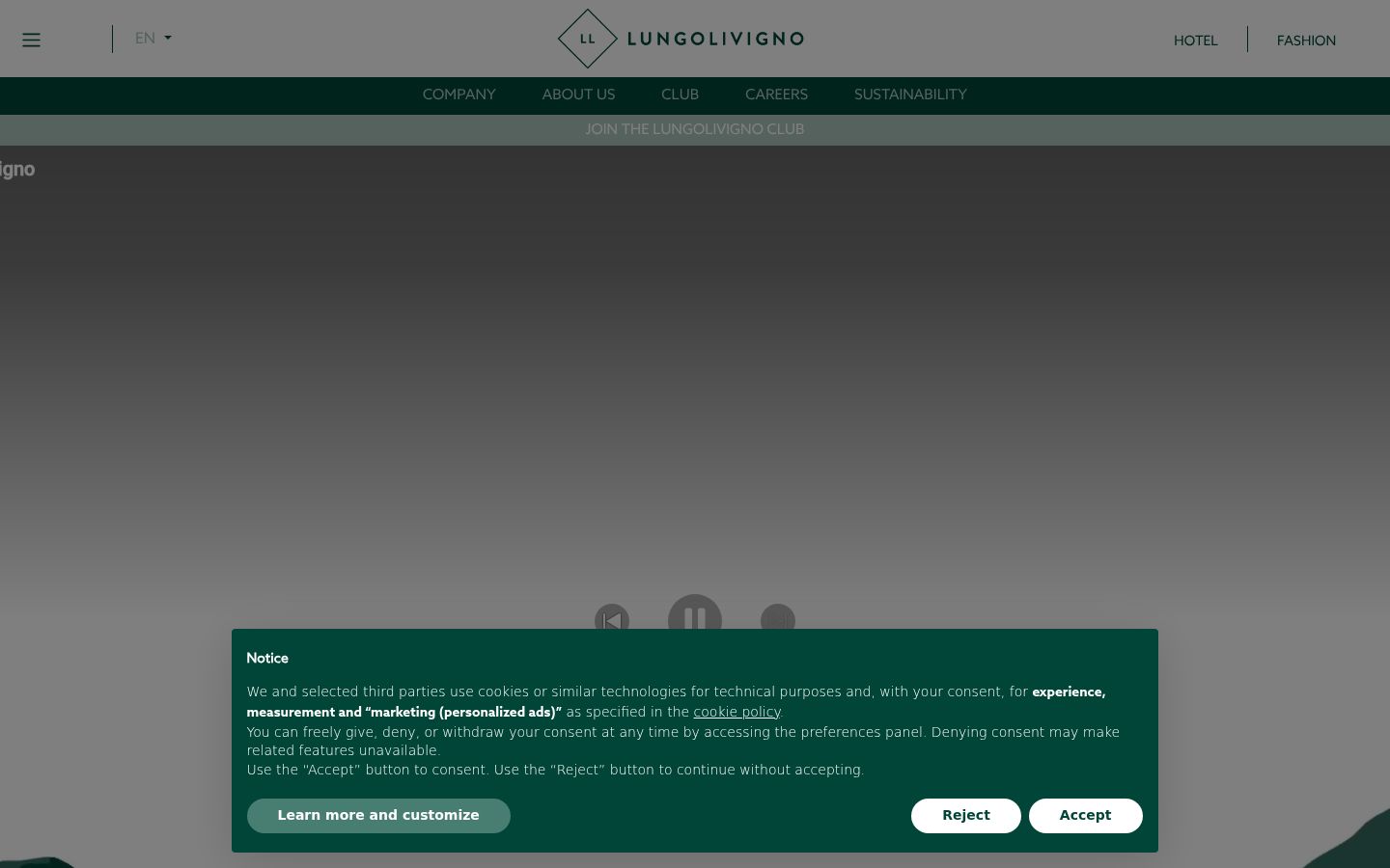 Screenshot of the consent banner shown before any interaction