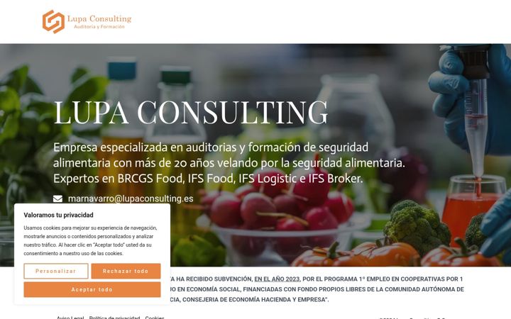 Screenshot of lupaconsulting.es