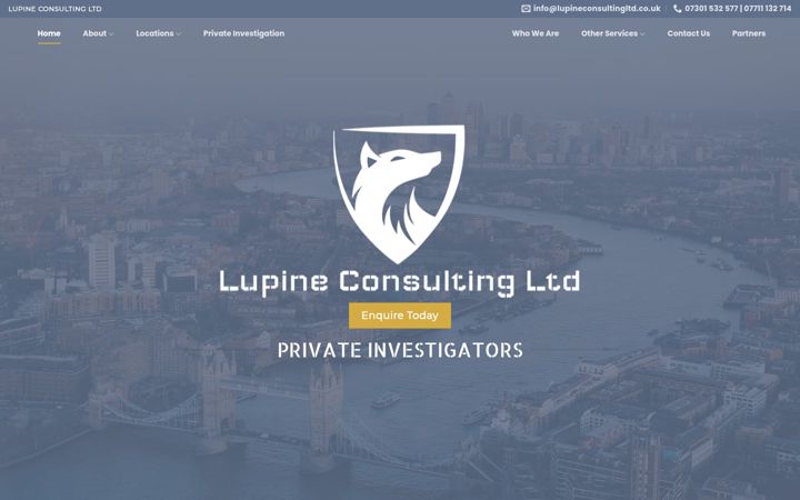 Screenshot of lupineconsultingltd.co.uk