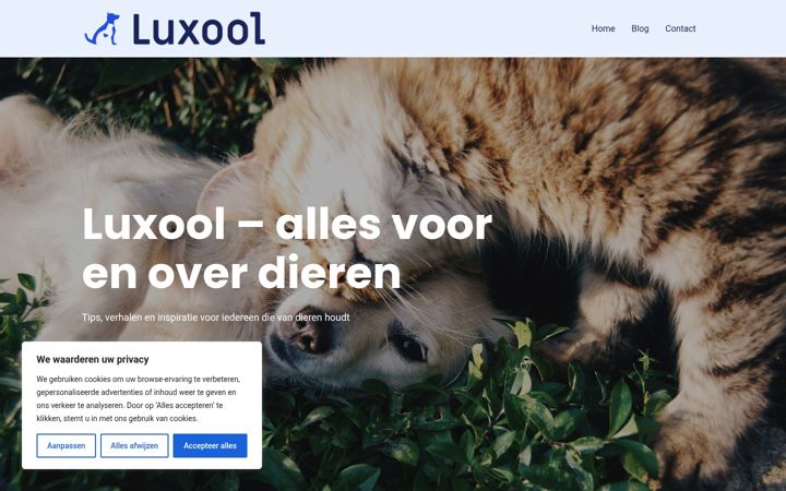 Screenshot of luxool.nl