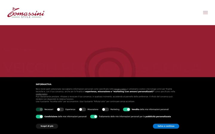 Screenshot of luxuryvan.it