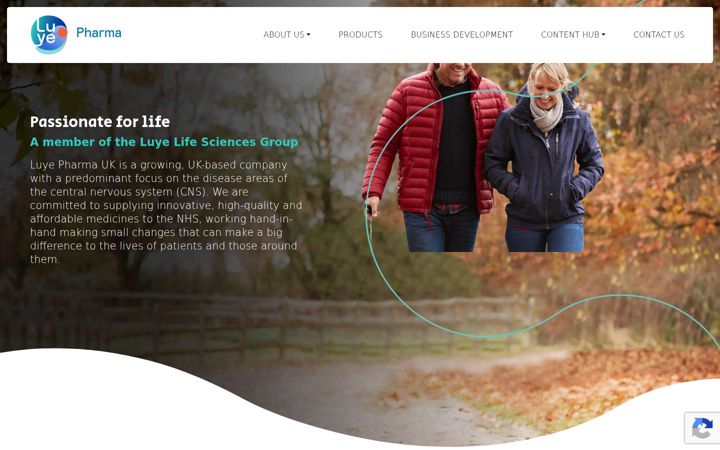 Screenshot of luye.co.uk
