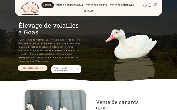 Screenshot of lv2m.com