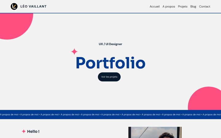 Screenshot of lvaillant.com