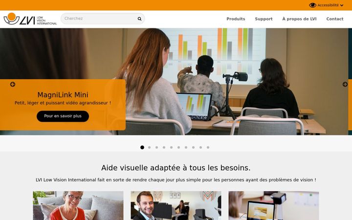 Screenshot of lvifrance.com