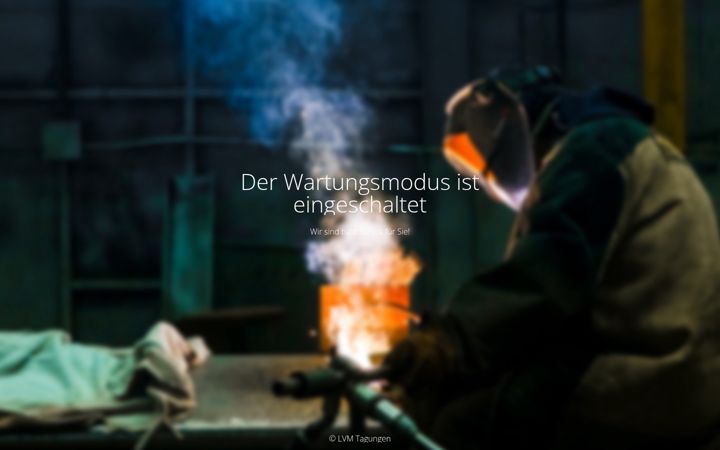 Screenshot of lvm-digital.de