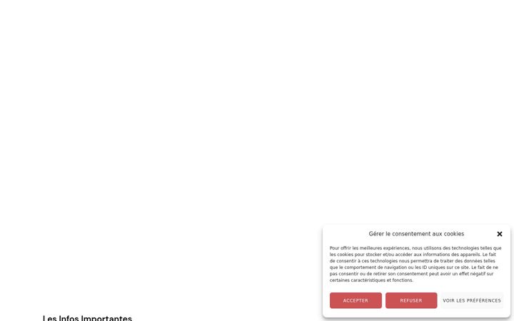 Screenshot of lycee-maximilienperret.fr