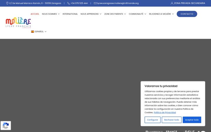 Screenshot of lyceemolieresaragosse.org