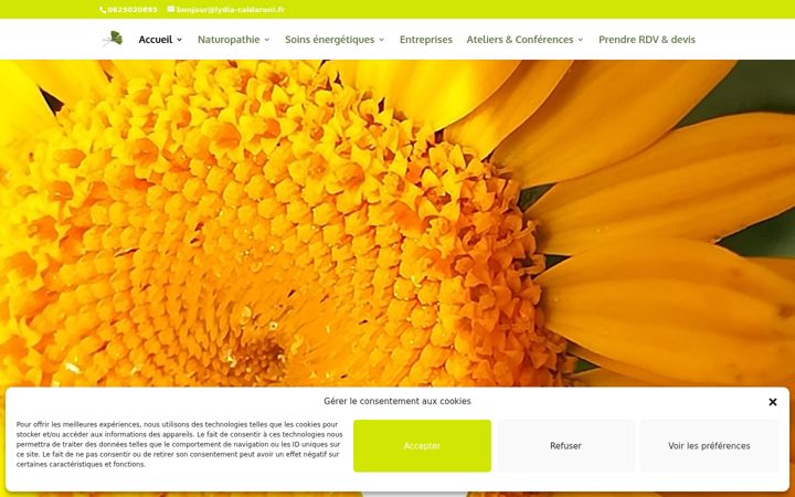 Screenshot of lydia-caldaroni.fr