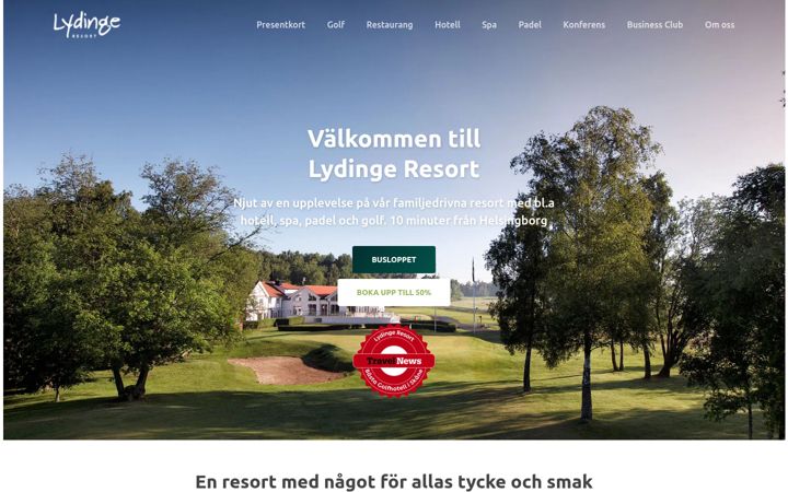 Képernyőkép: lydinge.com