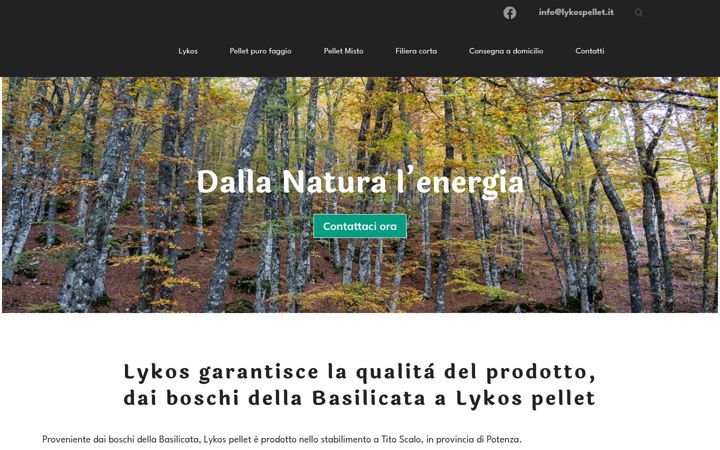 Screenshot of lykospellet.com