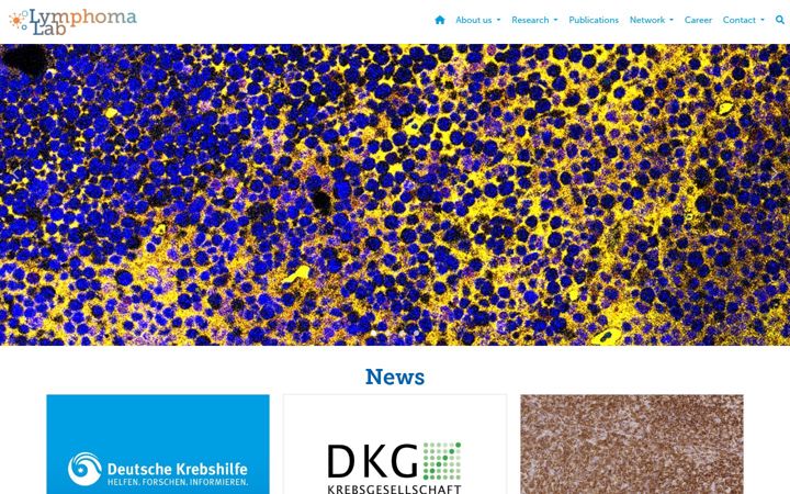 Képernyőkép: lymphoma-lab.de