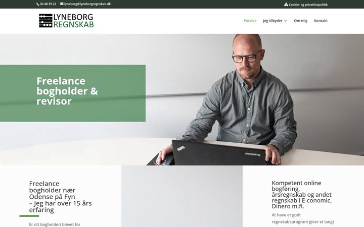 Skærmbillede af lyneborgregnskab.dk