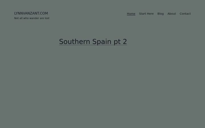 Screenshot of lynnvanzant.com