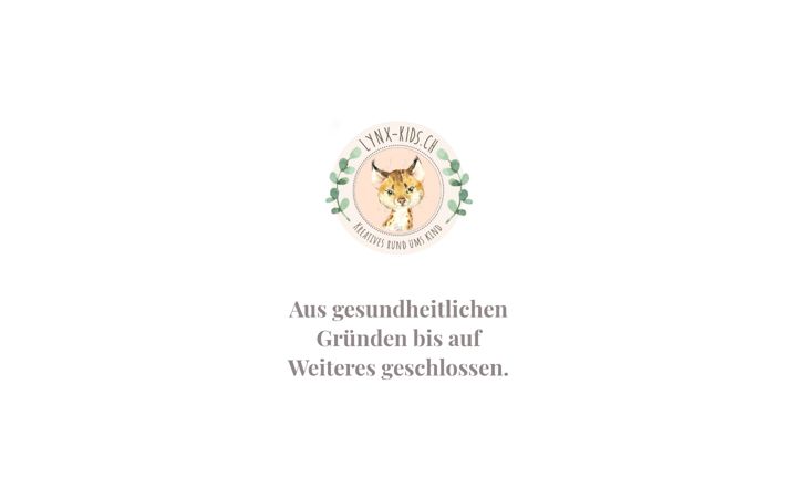 Screenshot of lynx-kids.ch