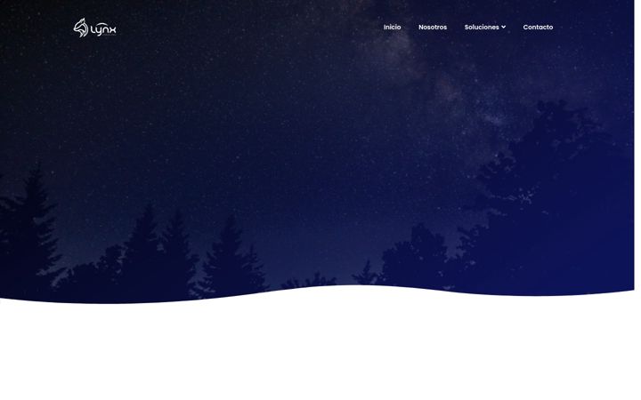 Screenshot of lynxconsulting.net
