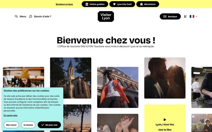 Screenshot of lyon-france.com