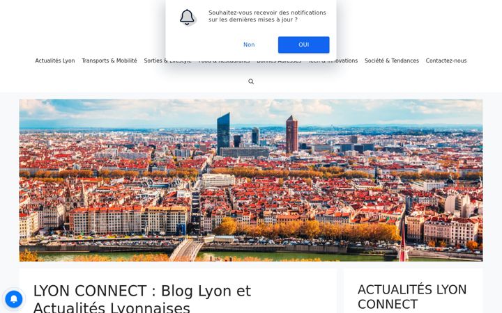 Screenshot of lyonconnect.fr