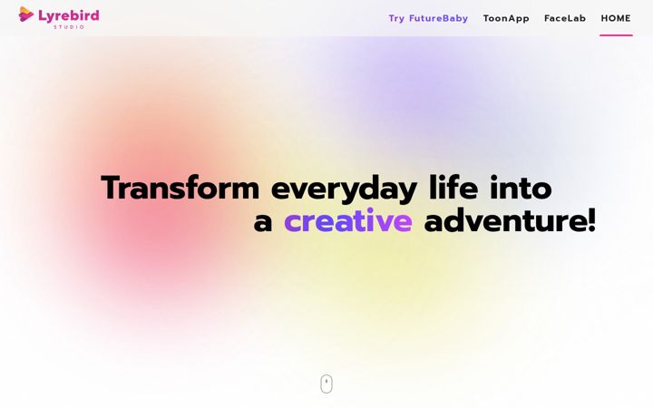Screenshot of lyrebirdstudio.net