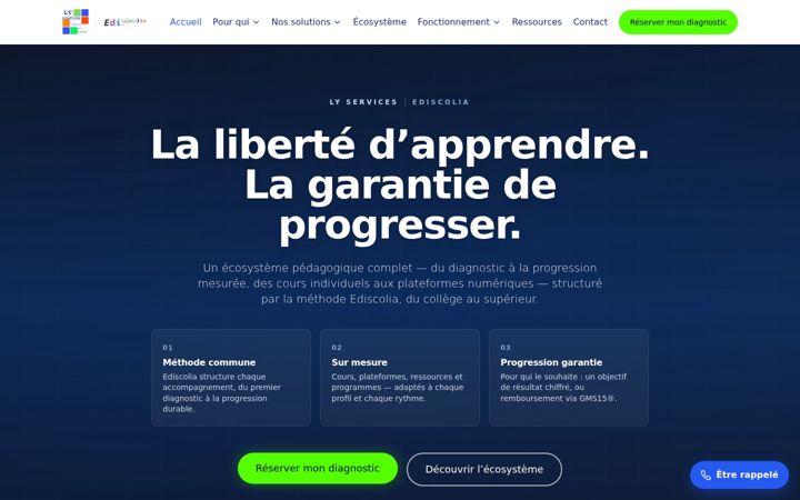 Screenshot of lyservices.fr