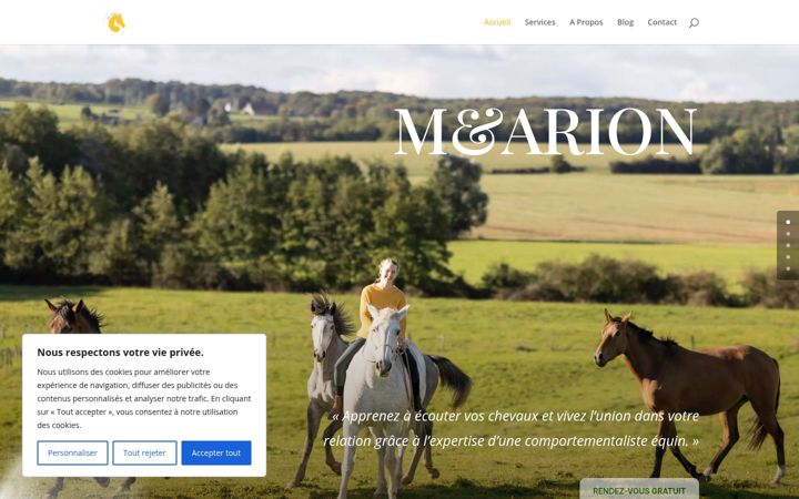 Screenshot of m-arion.fr