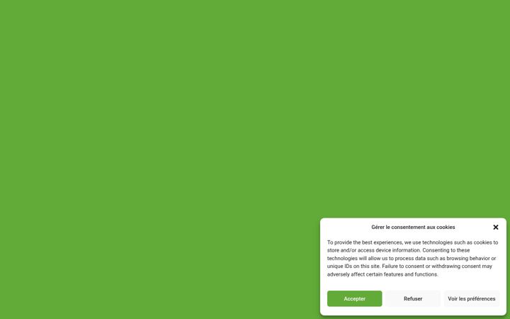 Screenshot of m-gestionauto.fr