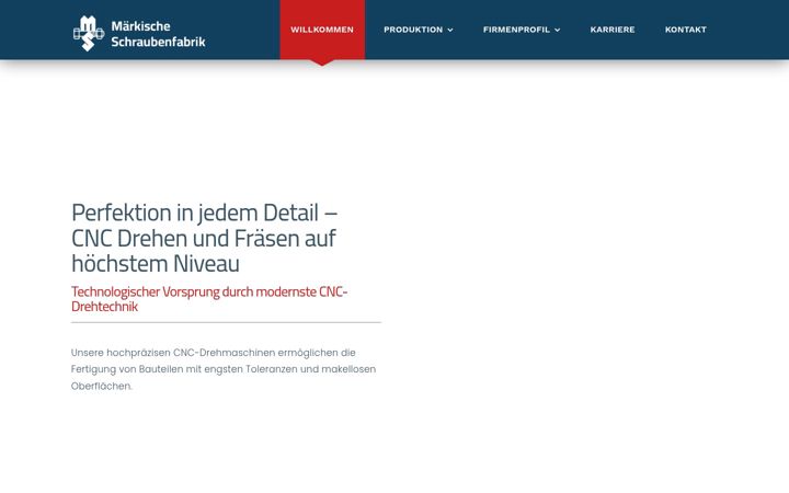 Screenshot of m-s-f.de