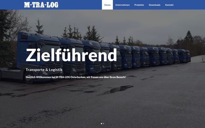 Screenshot of m-tra-log.de