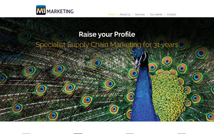 Screenshot of m1marketing.co.uk