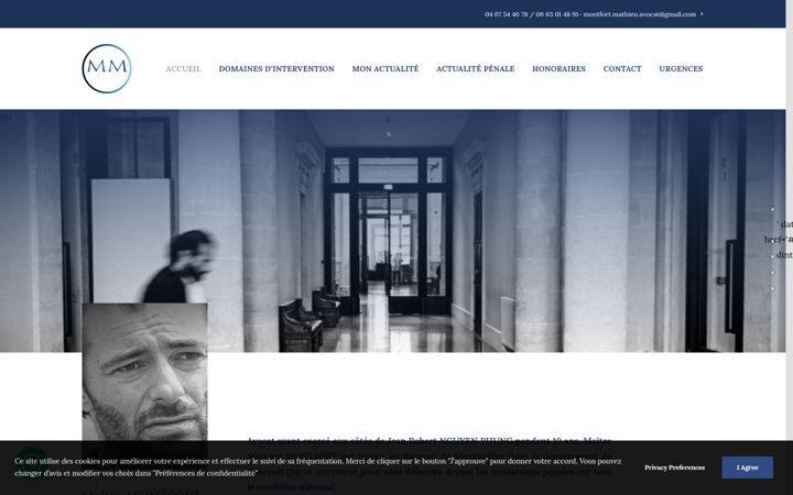 Screenshot of m2-avocat.com